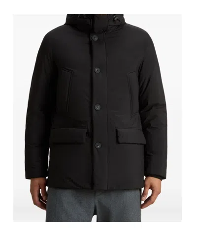 Woolrich Hooded Button-fastening Jacket In Black