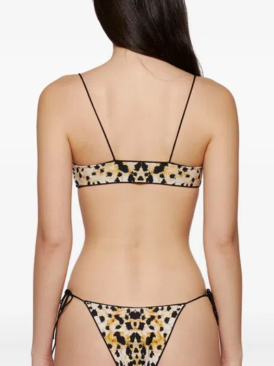 Tropic Of C The C Bikini Top In Animal Print