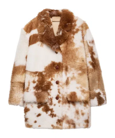 Prada Shearling Coat In Brown