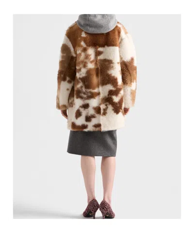Prada Shearling Coat In Brown