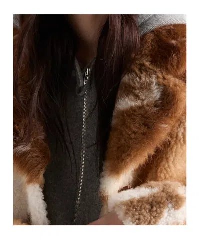 Prada Shearling Coat In Brown