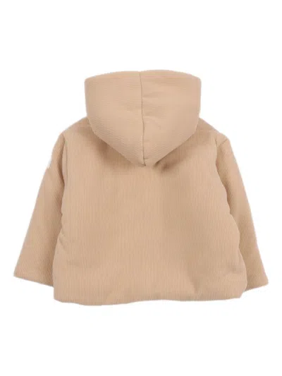 Teddy & Minou Hooded Corduroy Padded Jacket In Neutral