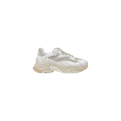 Ash Addict Sneakers In White