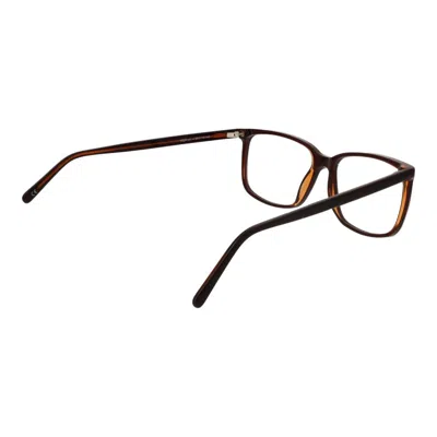 Andy Wolf Unisex Optical Frames In Brown
