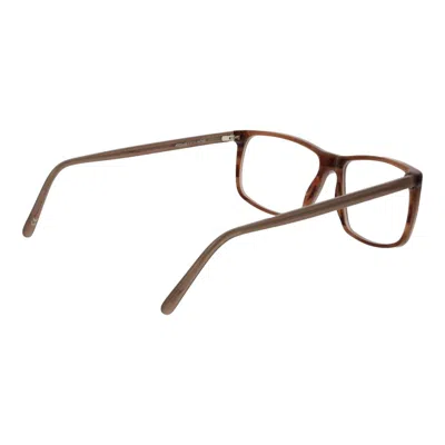 Andy Wolf Olive Unisex Optical Frames In Brown