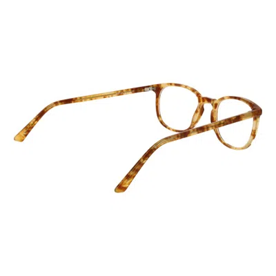 Andy Wolf Unisex Optical Frames In Brown