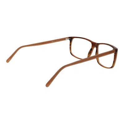 Andy Wolf Brown Unisex Optical Frames In Brown
