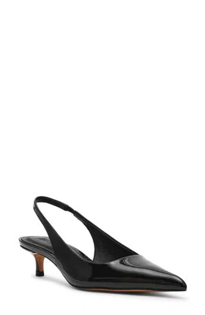 Steve Madden Kittie Slingback Pointed Toe Kitten Heel Pump In Black