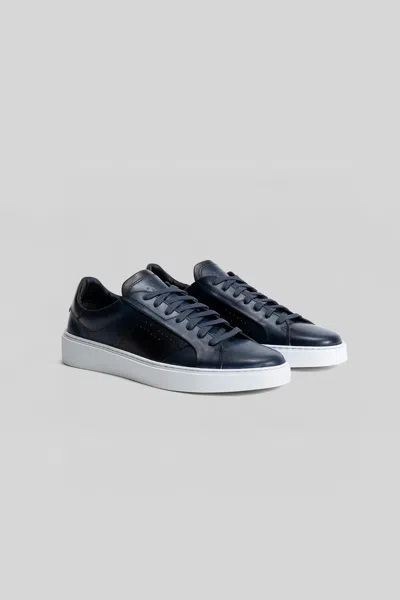 Robert Barakett Dion Sneaker In Black