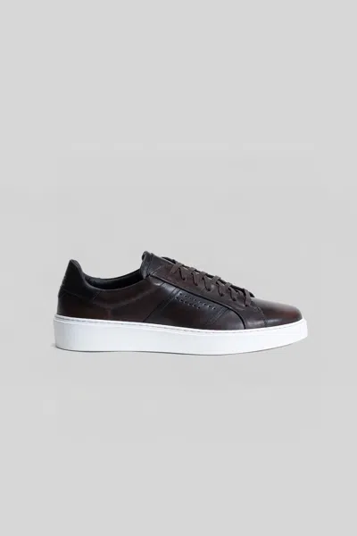 Robert Barakett Dion Sneaker In Black