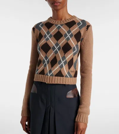 Prada Crew Neck Sweater In Brown