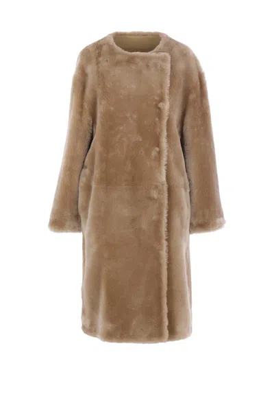 Totême Toteme Collarless Genuine Shearling Coat In Brown