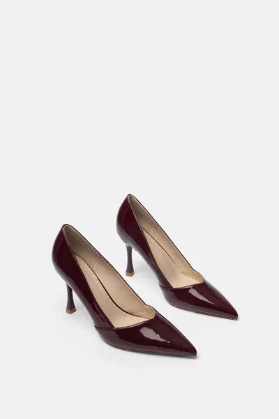 Twentyfourhaitch Heeled Shoes In Animal Print