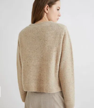 Marella Jerseys In Brown
