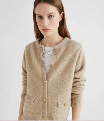 Marella Jerseys In Brown