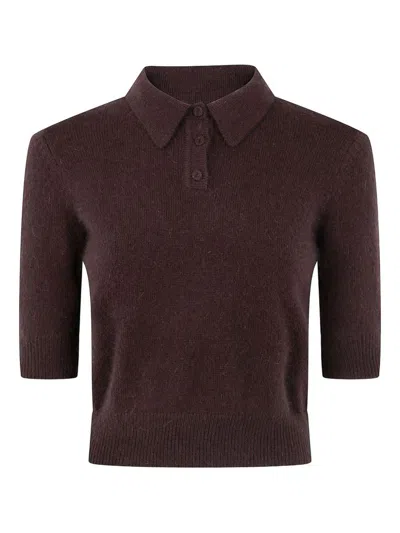 Twinset Polo-neck Short-sleeve Top In Brown
