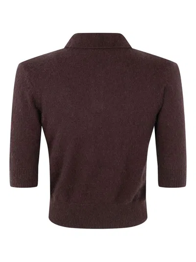 Twinset Polo-neck Short-sleeve Top In Brown