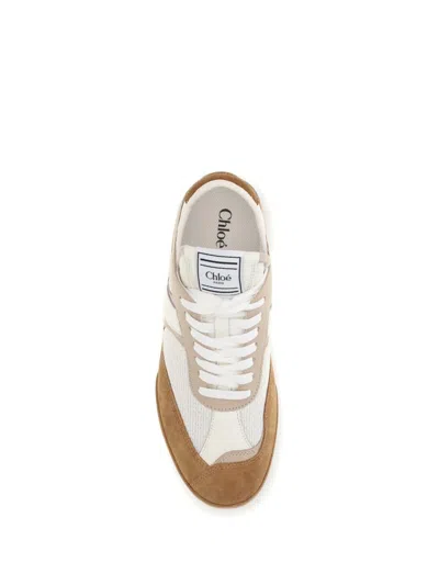 Chloé Lace-up Footwear Featuring Contrast Panels In Brown