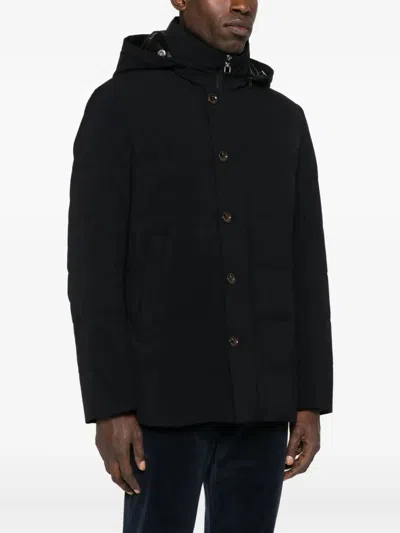 Montecore Hooded Padded Jacket In Black