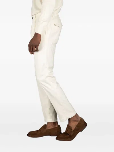 Devore Pleated Trousers In Neutral