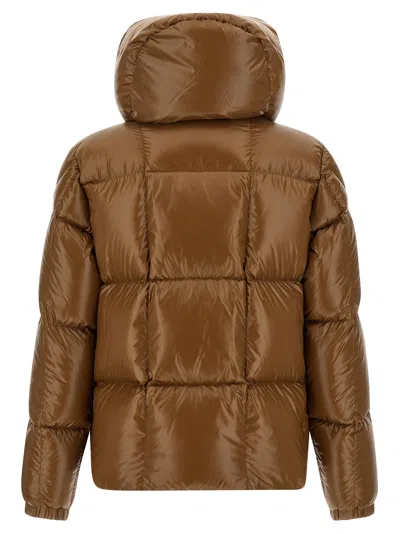Moncler Parana Down Jacket In Brown