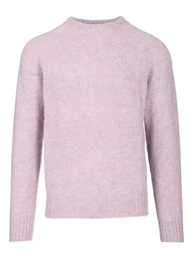 Howlin' Shetland Crewneck 100 Lana Sparcky Knitwear Violet In Neutral