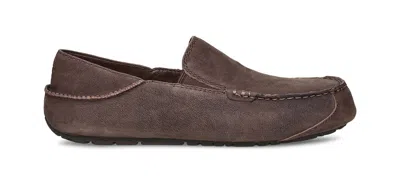 Ugg Upshaw Low Top Casual Shoes Brown