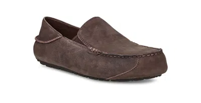 Ugg Upshaw Low Top Casual Shoes Brown