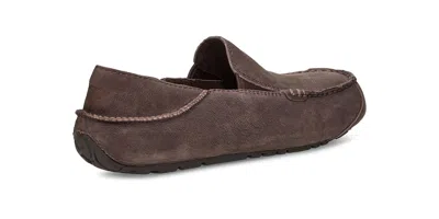 Ugg Upshaw Low Top Casual Shoes Brown