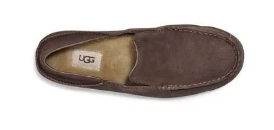 Ugg Upshaw Low Top Casual Shoes Brown