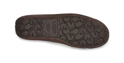 Ugg Upshaw Low Top Casual Shoes Brown