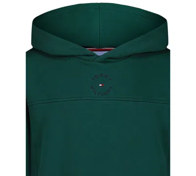 Tommy Hilfiger Toddler And Little Boys Essential Logo Embroidered Soft Fleece Hoodie In Green