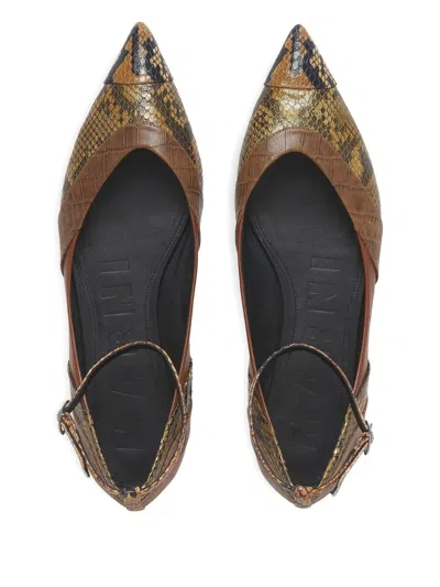Marni Pointed-toe Ballet Flats With Ankle Strap In Brown