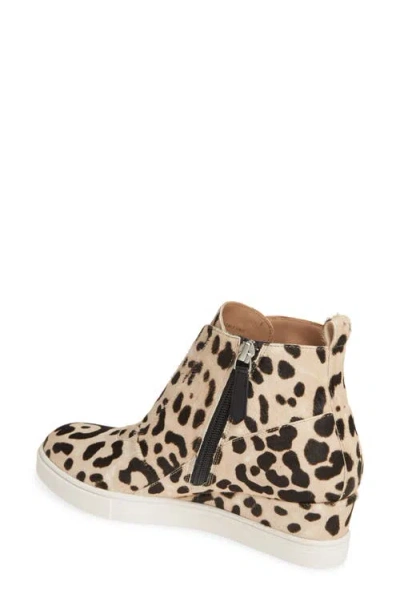 Linea Paolo Anna Wedge Sneaker In Multi