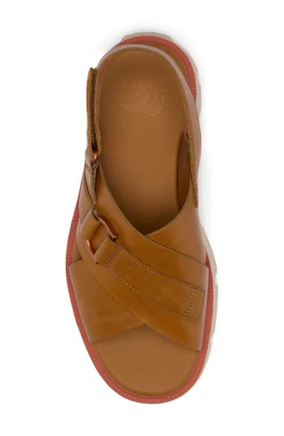 Sorel Rein Cb Crisscross Sandal In Multi