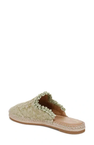 Circus Ny By Sam Edelman Mallory Ruffle Mule Slides