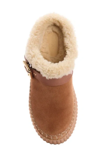 Chloé Nama Buckled Shearling-lined Suede Platform Mules In Neutral