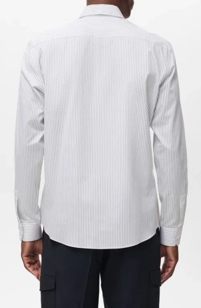 Mango Regular Fit Stripe Stretch Cotton Blend Button-up Shirt In Blue