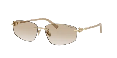Tiffany & Co . Unisex Sunglass Tf3114 In Brown