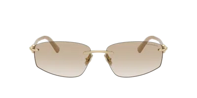 Tiffany & Co . Unisex Sunglass Tf3114 In Brown