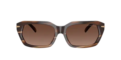 Michael Kors Man Sunglass Mk2265u Lake Tahoe In Brown