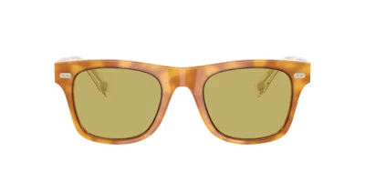 Brunello Cucinelli Unisex Sunglass Bc4002s Mr. Brunello In Brown