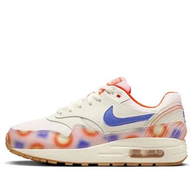 Nike (gs)  Air Max 1 'everything You Need' In Multi