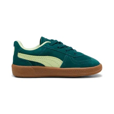 Puma (td)  Palermo 'dark Myrtle Cool Cucumber' In Green