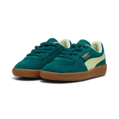 Puma (td)  Palermo 'dark Myrtle Cool Cucumber' In Green