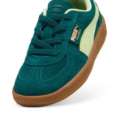 Puma (td)  Palermo 'dark Myrtle Cool Cucumber' In Green