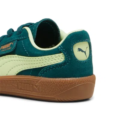 Puma (td)  Palermo 'dark Myrtle Cool Cucumber' In Green