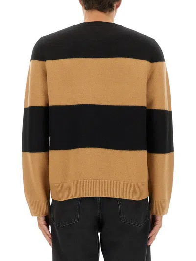 Apc A.p.c. A.p.c. Edwardo Striped Wool Jumper In Brown