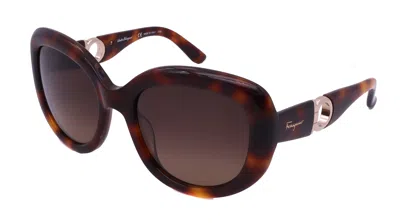 Ferragamo Sunglasses Sf727s-214-53-20-135 Non-polarized In Brown