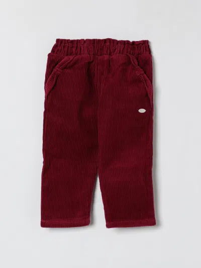 Tartine Et Chocolat Pants  Kids Color Lilac In Burgundy